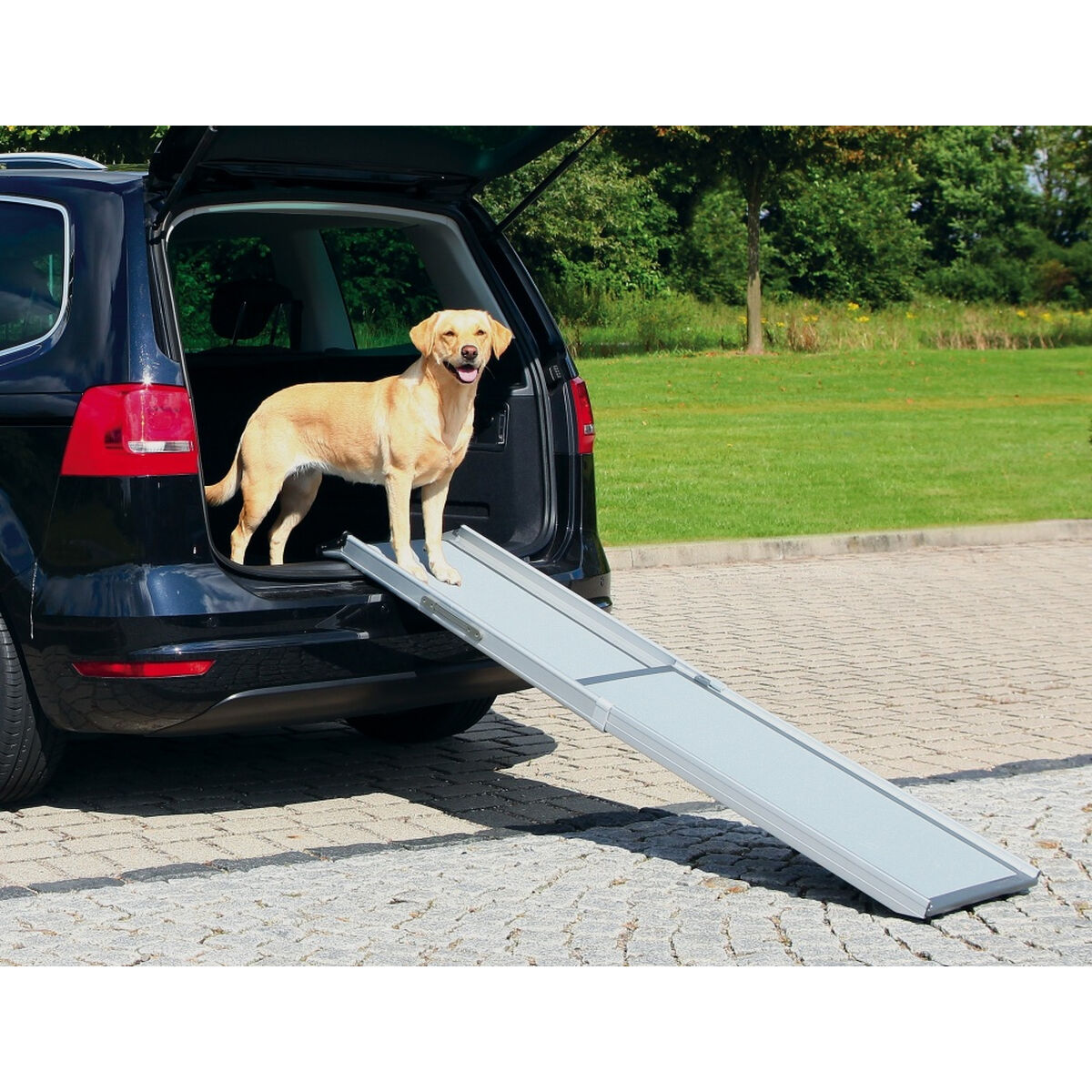 Telescopic Dog Car Ramp - Up to 120 kg