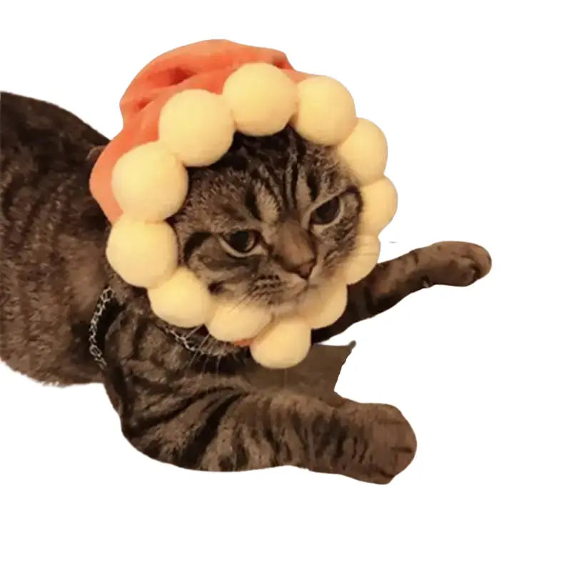 Chapeau pour Chat Tournesol de Printemps Transparent Background