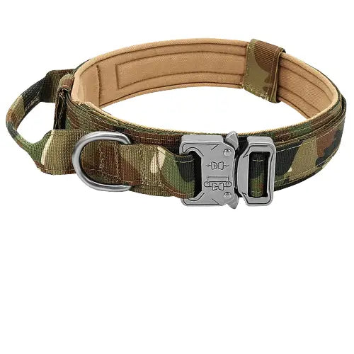 Collier pour Berger Allemand