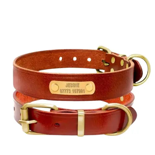 Collier Chien En Cuir Personnalisable Transparent Background