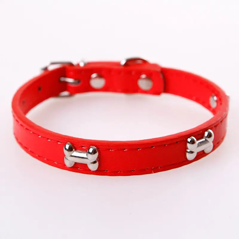Collier pour Beagle