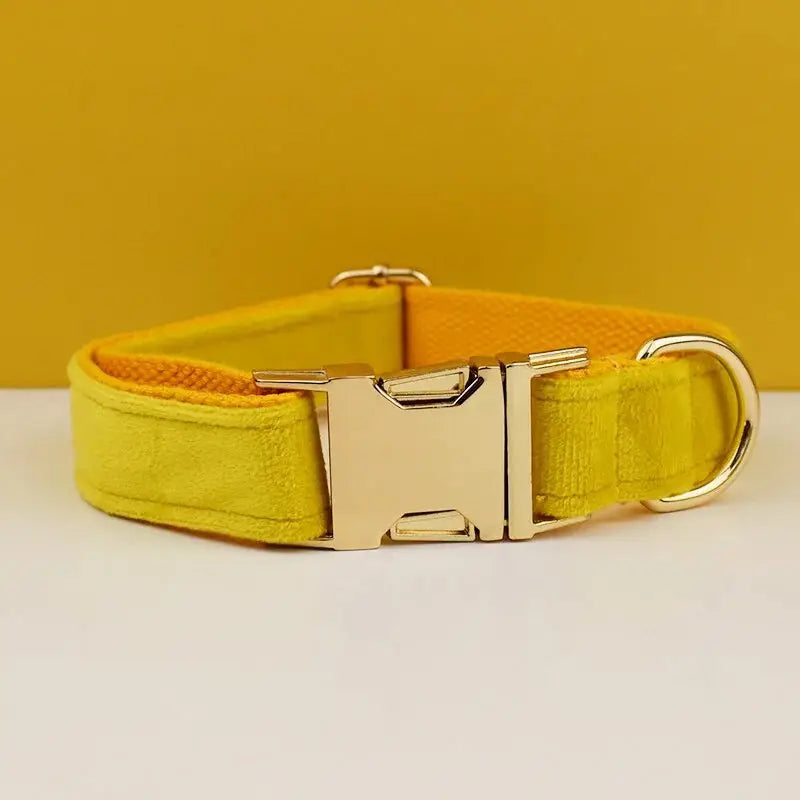 Collier pour chien en velours résistant avec boucle en métal - Pour petits chiens en jaune