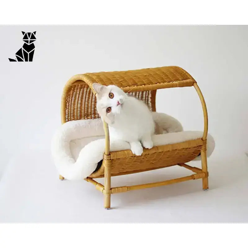 Hamac En Rotin Tressé Pour Un Ami à Fourrure Et Une Vie Insulaire