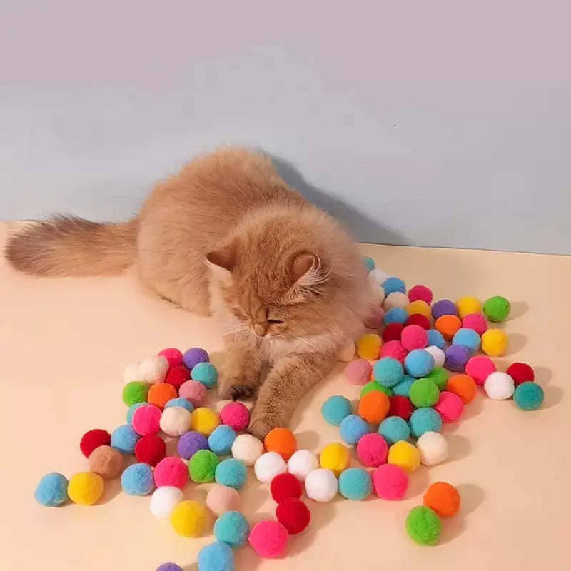 Chat jouant avec un mini lanceur de pompons - jouet interactif pour chats