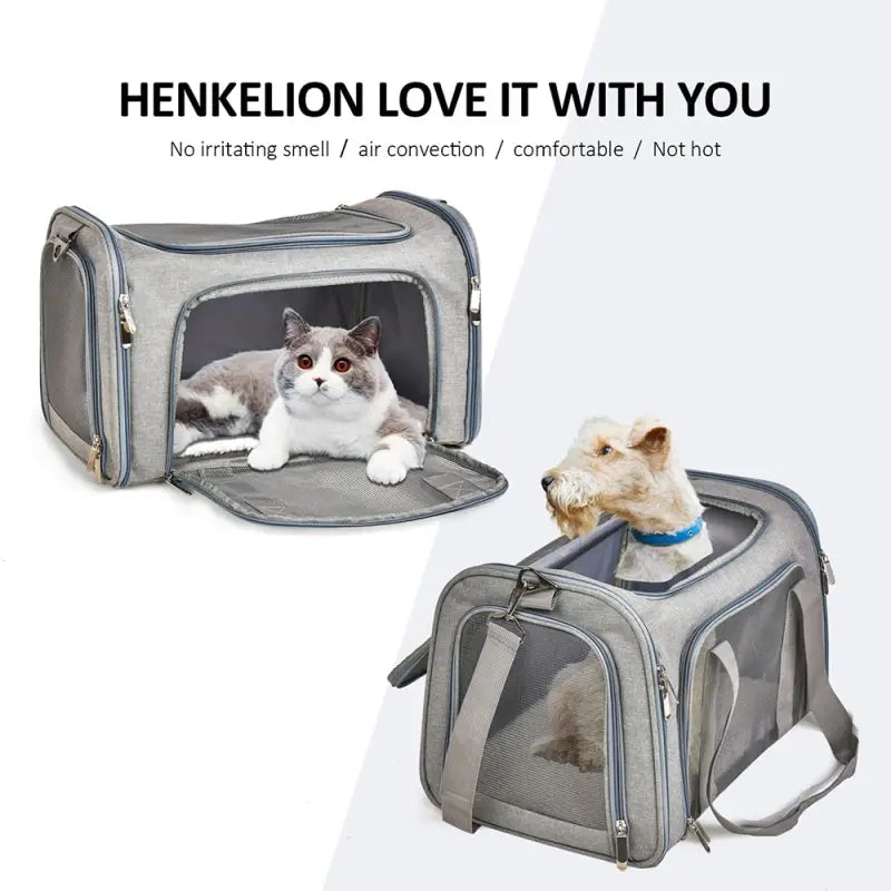 Chat dans un sac de transport pour chien facile à transporter avec l’affiche Kenn Love It With You