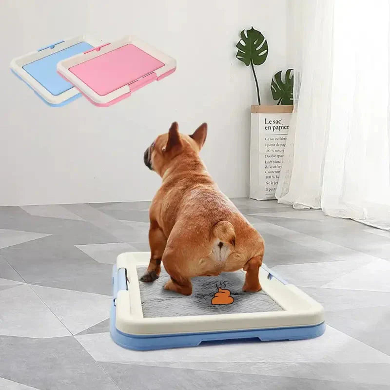 Toilette pour chien - solution pratique et hygiénique, design léger