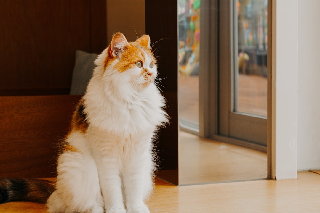 Bilimsel Verilerle Proplan Kedi Maması İncelemesi