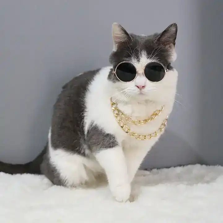 For cats