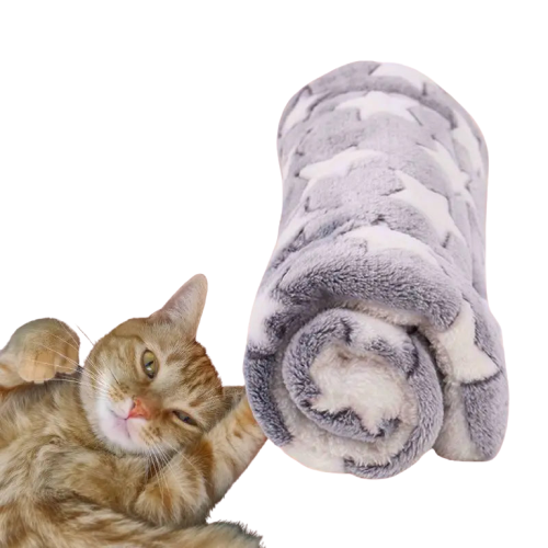 Couverture pour chat | CatsCovered™ Transparent Background