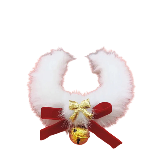  Transparent Background