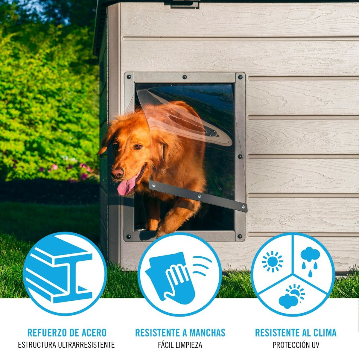 Dog House XXL Polyethylene - Cold-Resistant