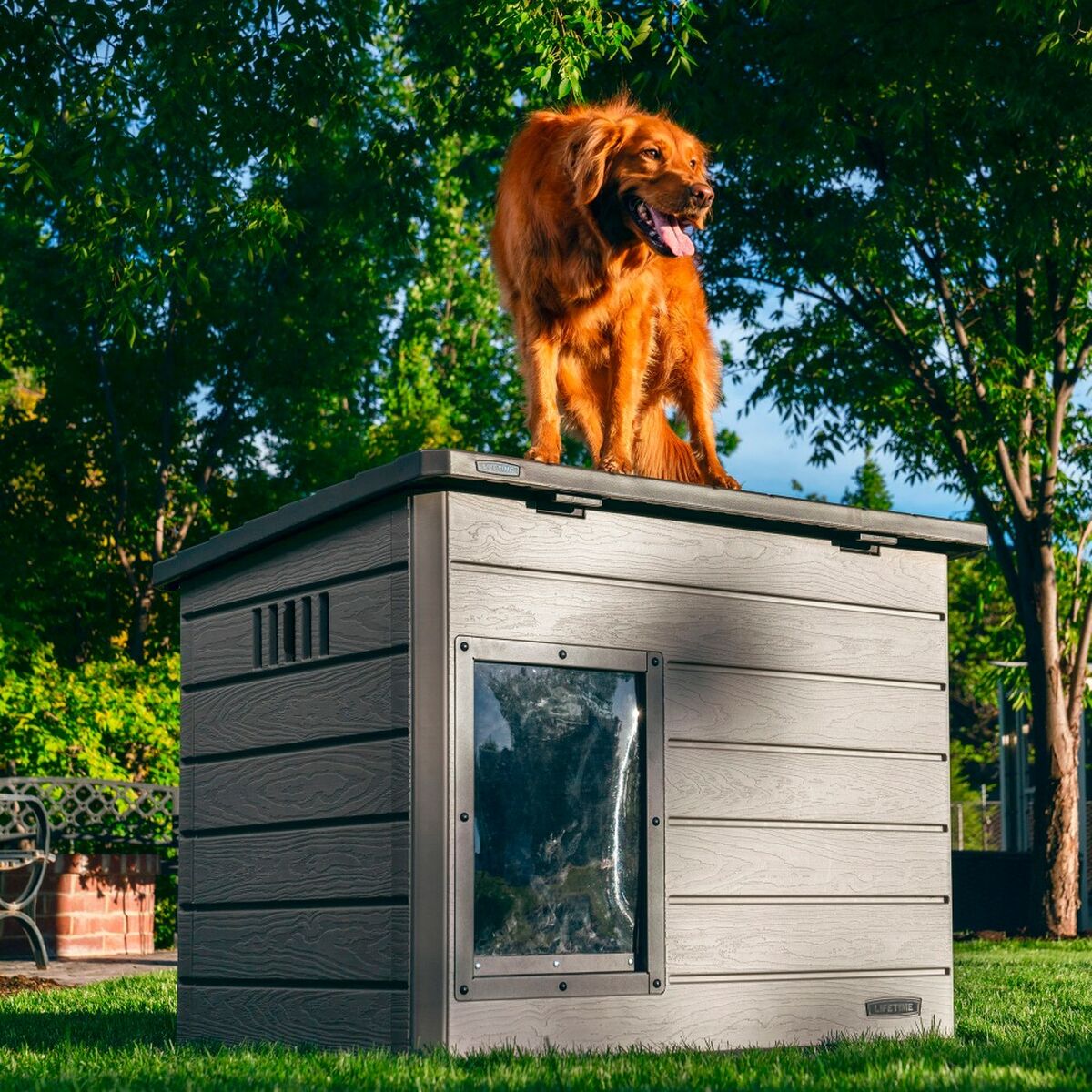 Dog House XXL Polyethylene - Cold-Resistant