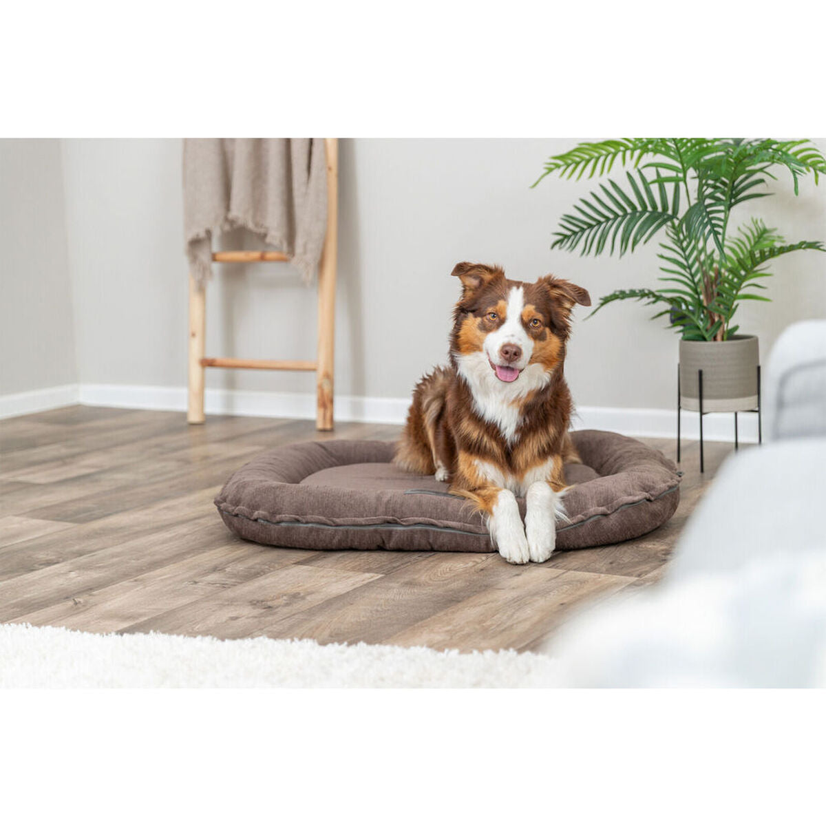Orthopedic Dog Bed XXL Brown - Joint Comfort