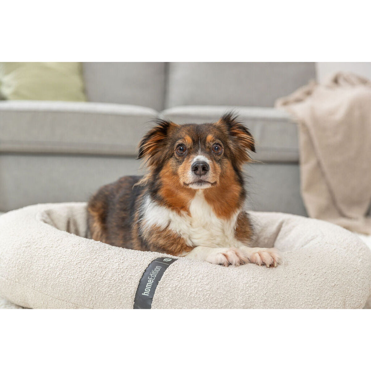 Dog Bed Design Cream - Comfort and Style Every Day