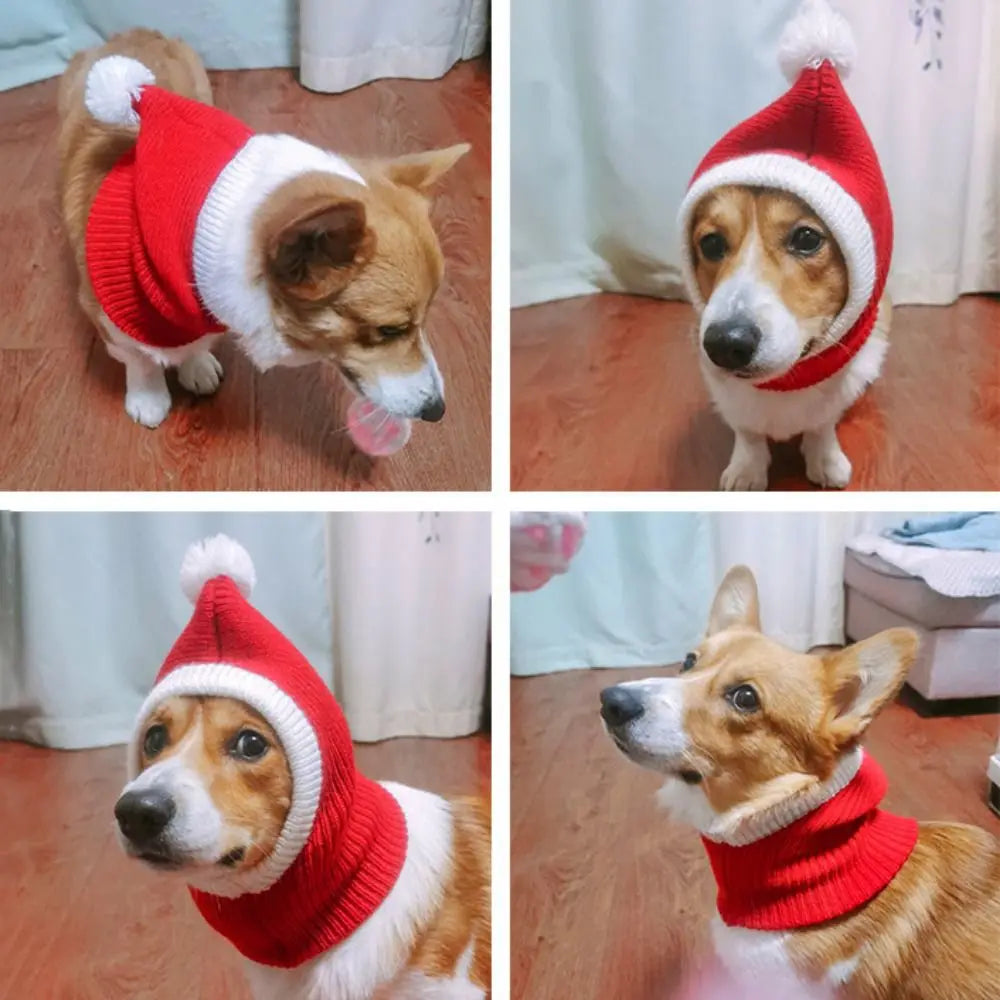 Festive Cat Holiday Hat | Soft Plush Stay-Put Design