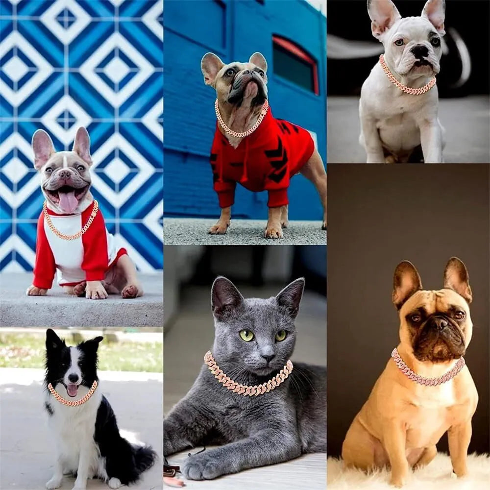 Dog Chain Collar | Stainless Steel, Non-Choking Design