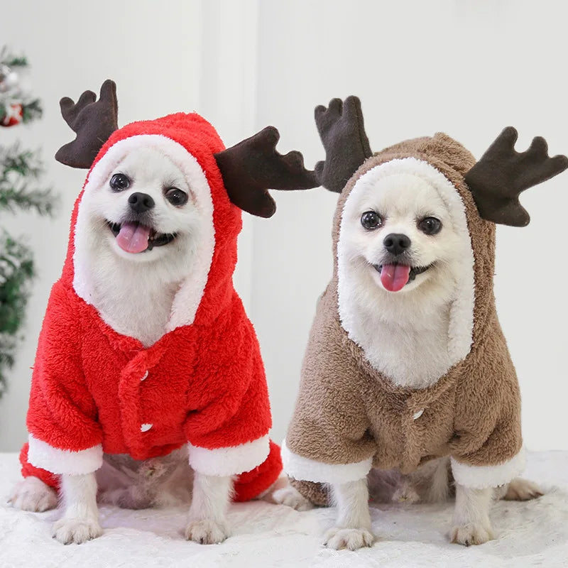 Dog Santa Costume Outfit | Adjustable Belly Closure