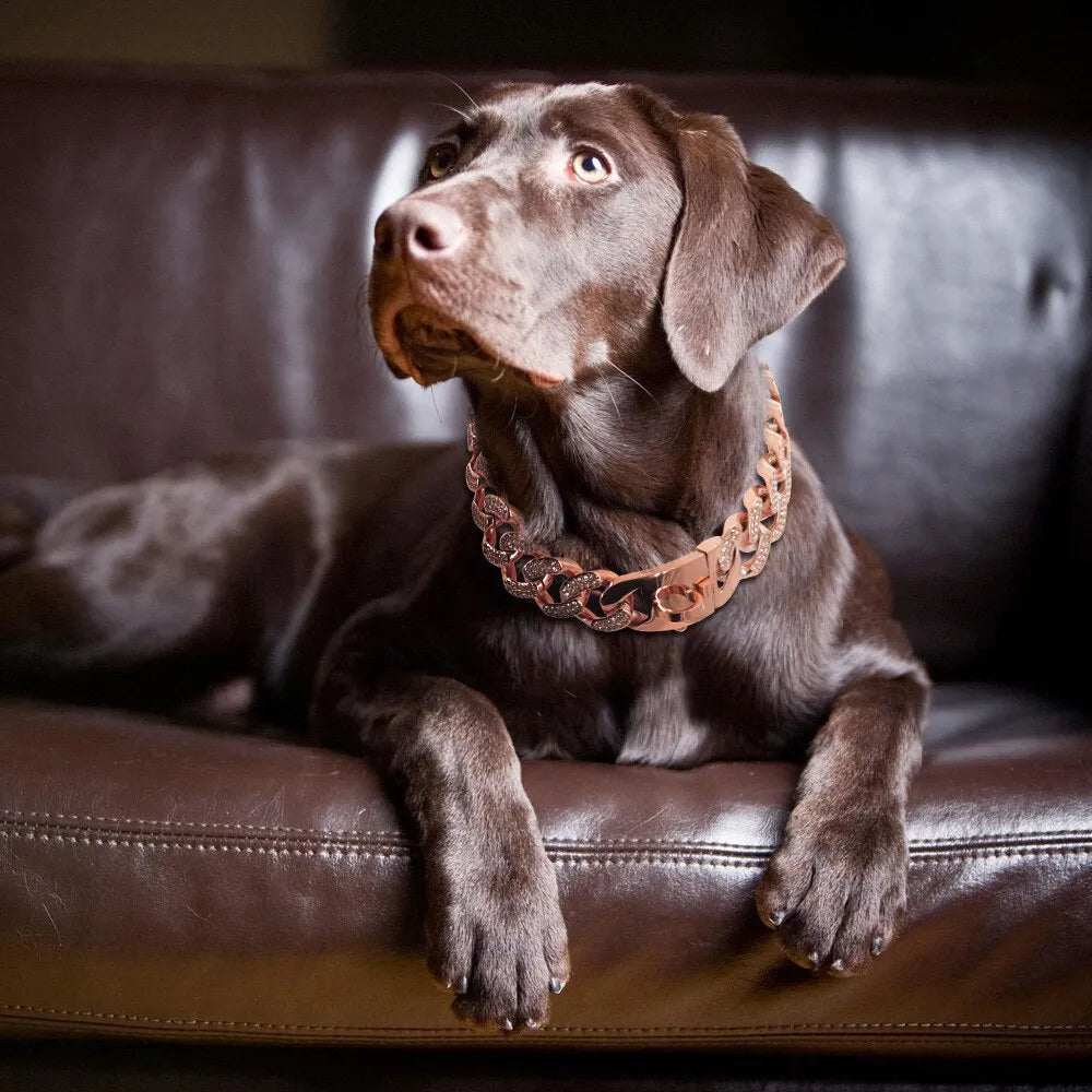 Dog Chain Collar | Stainless Steel, Non-Choking Design
