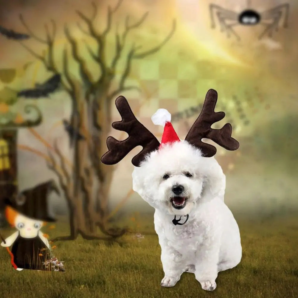 Reindeer Hat for Dogs | Holiday Pet Costume with Secure Fit