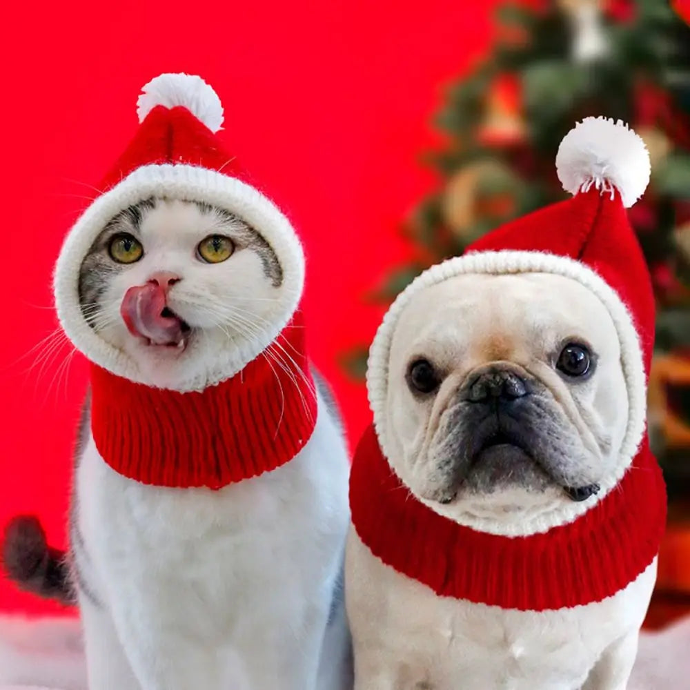 Festive Cat Holiday Hat | Soft Plush Stay-Put Design