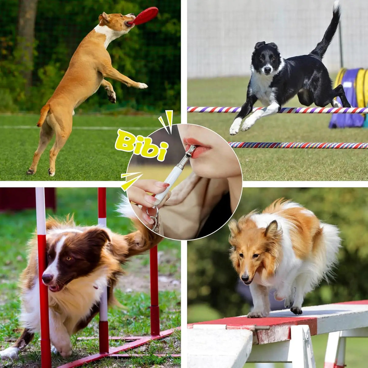 Ultrasonic Dog Whistle Training | Adjustable Frequency Bark Control