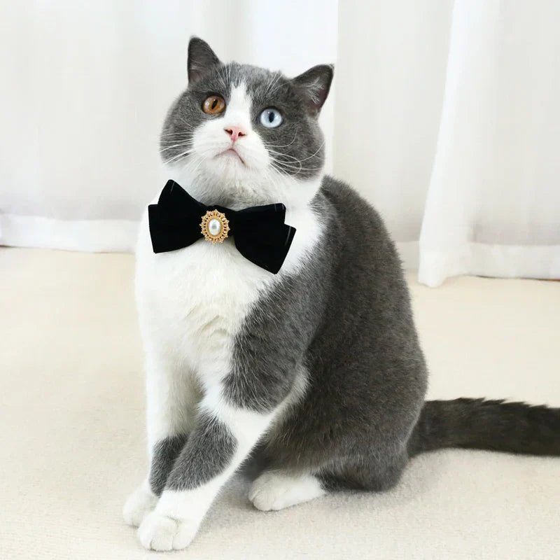 Cat Bow Tie Collar | Adjustable Formal Pet Neckwear