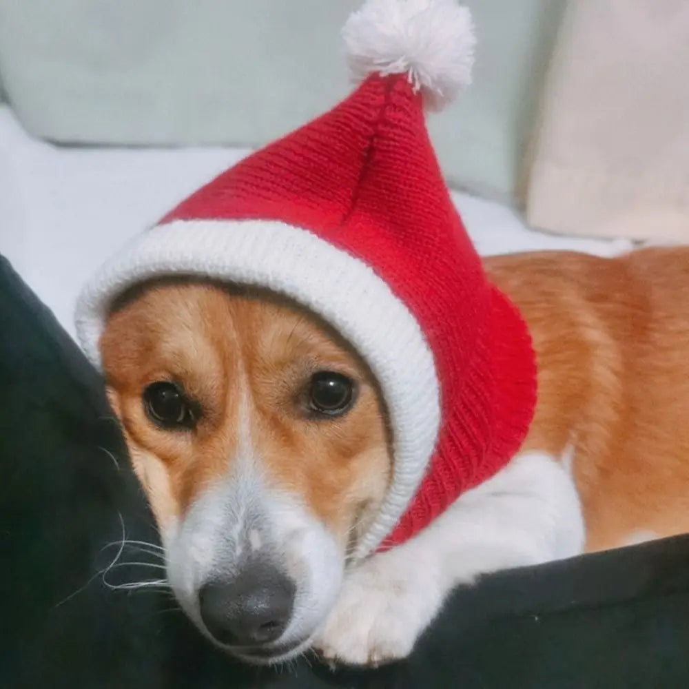 Festive Cat Holiday Hat | Soft Plush Stay-Put Design