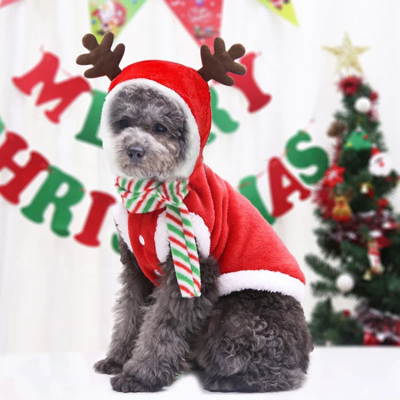 Dog Santa Costume Outfit | Adjustable Belly Closure