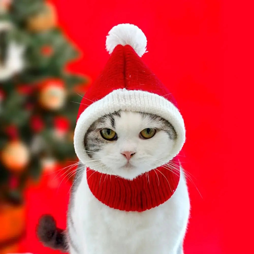 Festive Cat Holiday Hat | Soft Plush Stay-Put Design