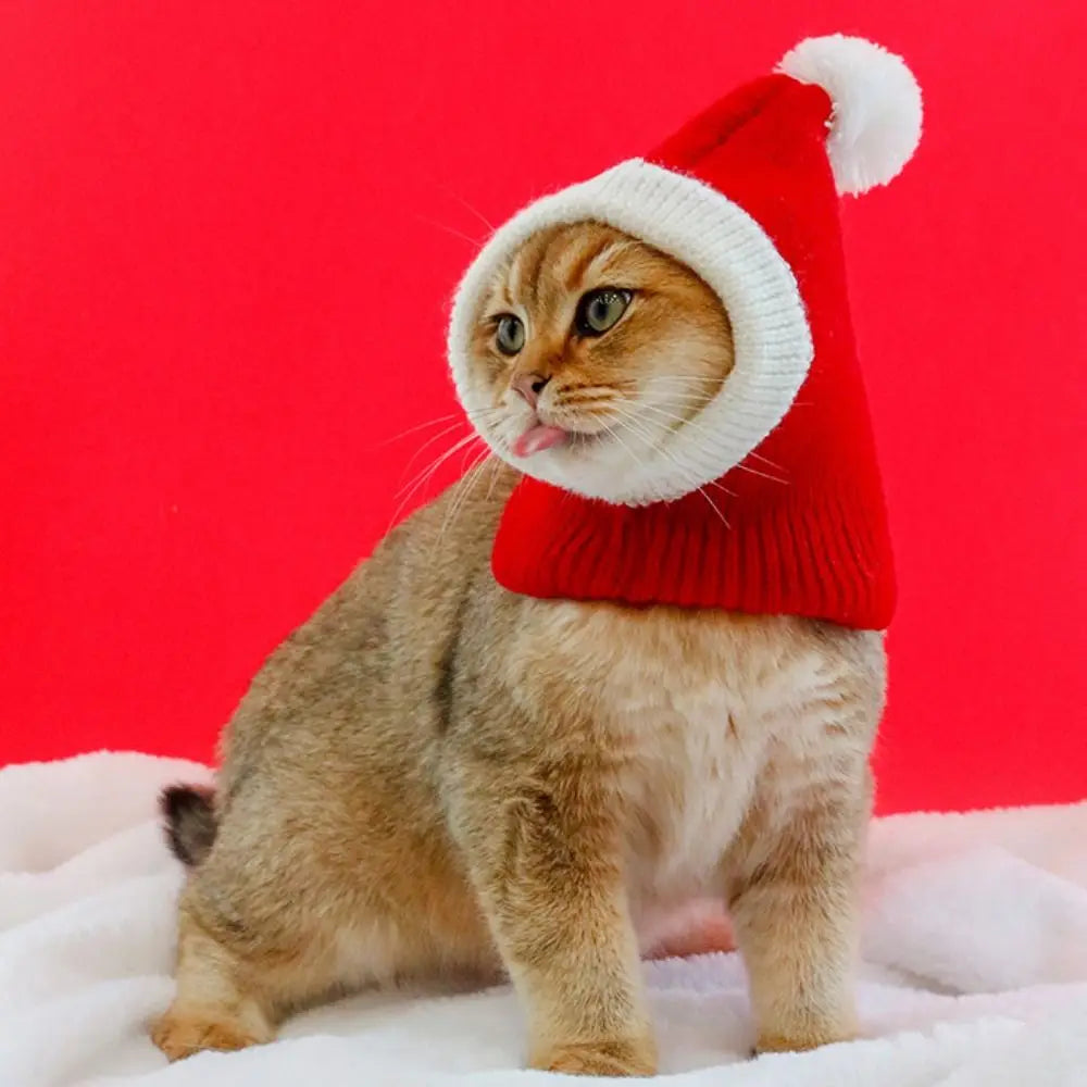 Festive Cat Holiday Hat | Soft Plush Stay-Put Design