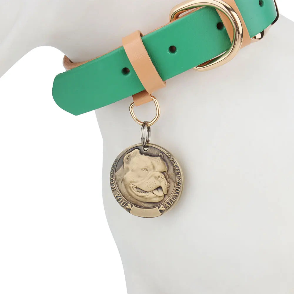 Personalized Dog Tag with Engraved Photo | Petzeal