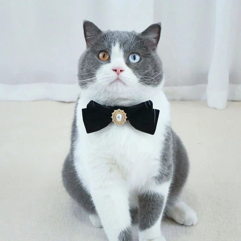 Cat Bow Tie Collar | Adjustable Formal Pet Neckwear