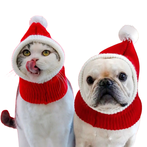  Transparent Background