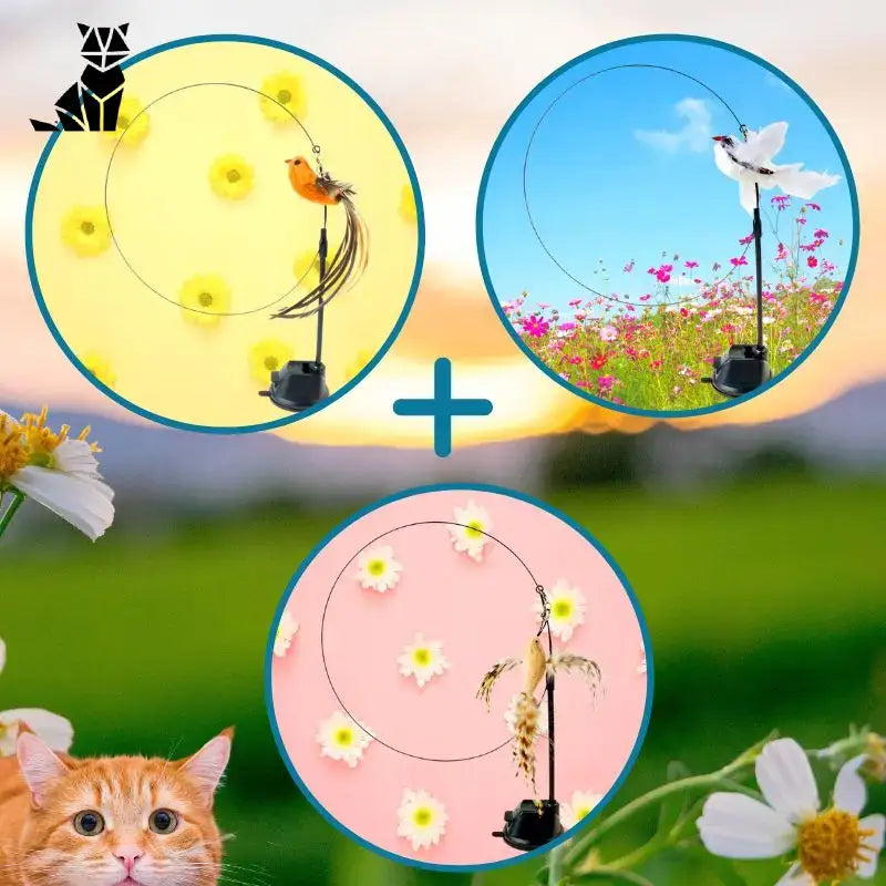 Birdfamily™: Jouet Pour Chat Avec Ventouse Puissante Pour Assouvir Sa Chasse! - Lot De 3: (le Troisième Offert) 🏆