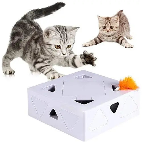 Chat jouant dans une boîte avec le jouet électronique MouseBox™