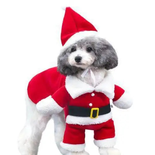 Bonnet pour Chien & Cosplay de Noël