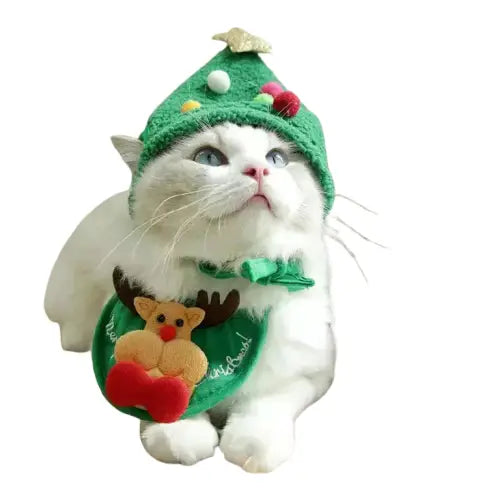 Chapeau et écharpe de Noël pour chat - Accessoires de fête parfaits pour votre chaton du Père Noël Transparent Background