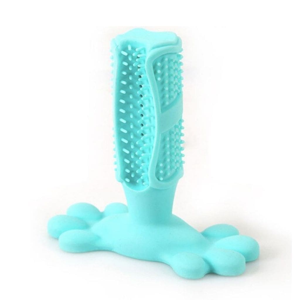 Brosse à dents pour chien