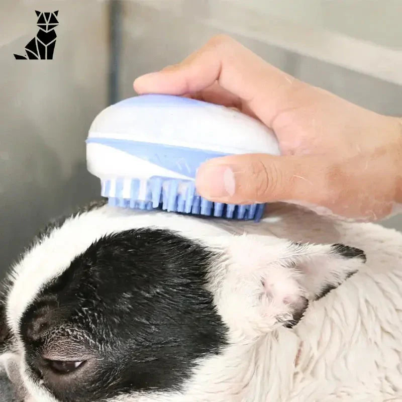 Personne utilisant une brosse de bain relaxante pour chiens pour masser et nettoyer efficacement un mouton