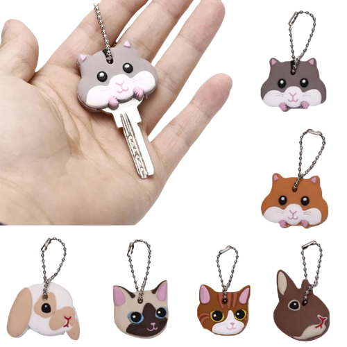 Transparent Background