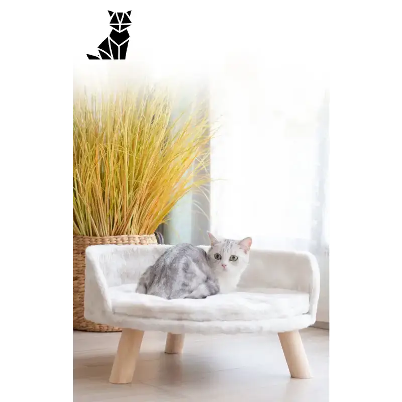 Canapé Douillet Pour Chats Jusqu’à 8 Kg Idéal Pour Le Repos - Grande Taille