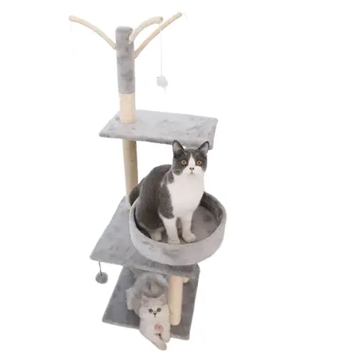Cat sitting sur Catree arbre à chat, pour le bonheur de votre chat Transparent Background