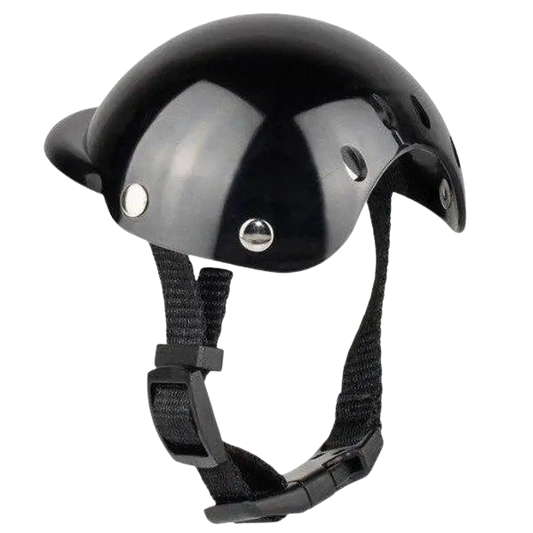 Chapeau pour Chien Protection Moto Transparent Background