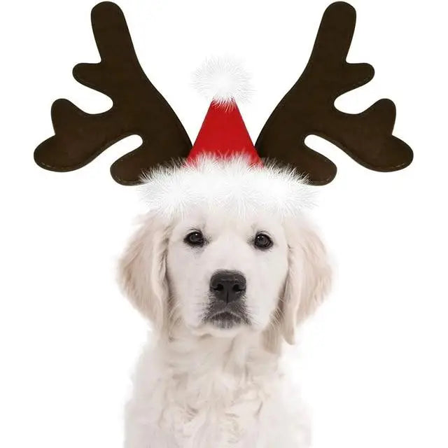 Chapeau pour Chien Renne de Noël