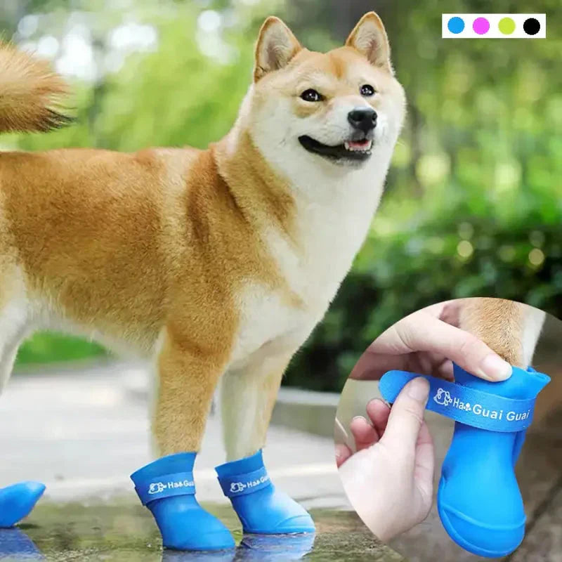 Chaussures pour chien imperméables - Protection optimale des pattes de votre animal