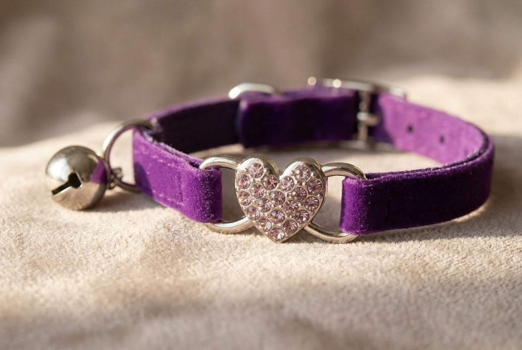 Un matériau doux, une boucle sécurisée, une couture qui résiste