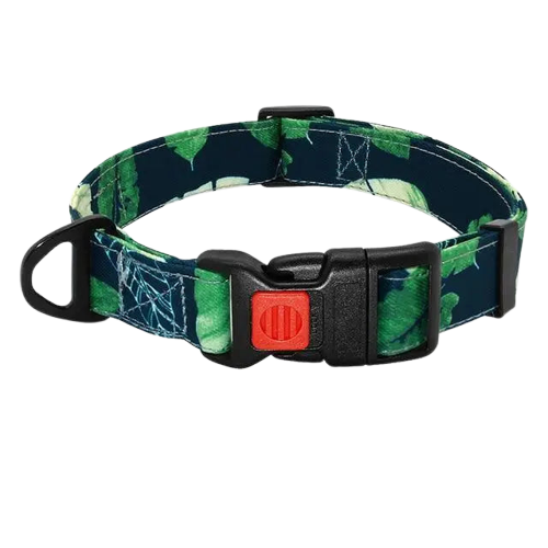 Collier Chien En Nylon Avec Laisse Transparent Background