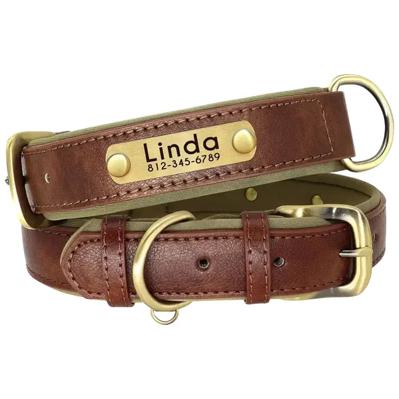 Customizable Leather Dog Collar | Engraved Nameplate