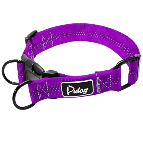 Collier Chien Réfléchissant Ajustable Transparent Background