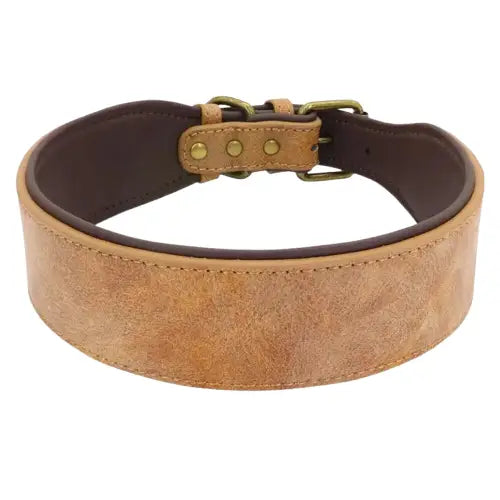 Collier Grands Et Moyens Chiens En Cuir Transparent Background